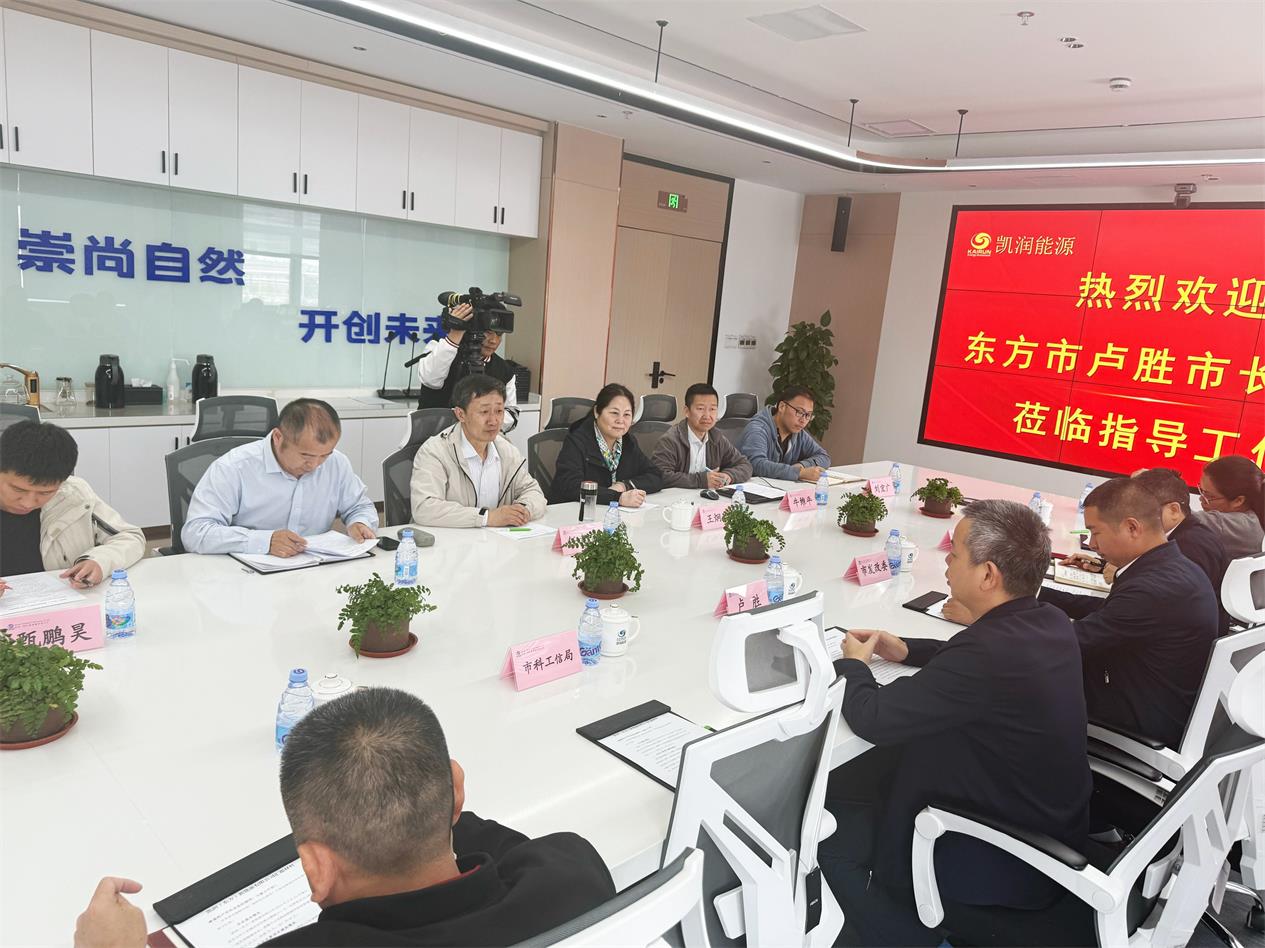 東方市盧勝市長(zhǎng)蒞臨凱潤(rùn)（東方）新能源有限公司召開座談會(huì)